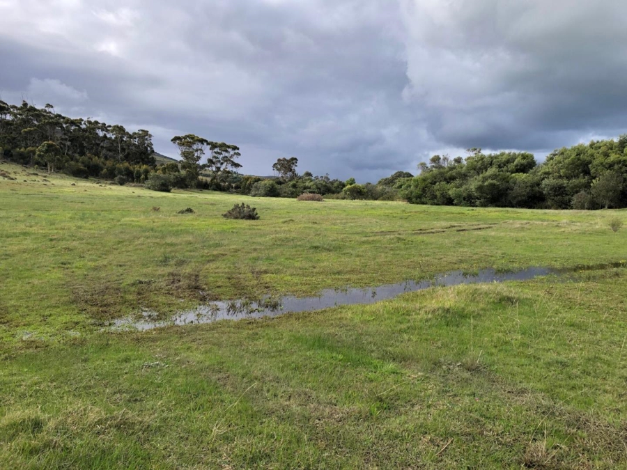 Commercial Property for Sale in Baardskeerdersbos Western Cape